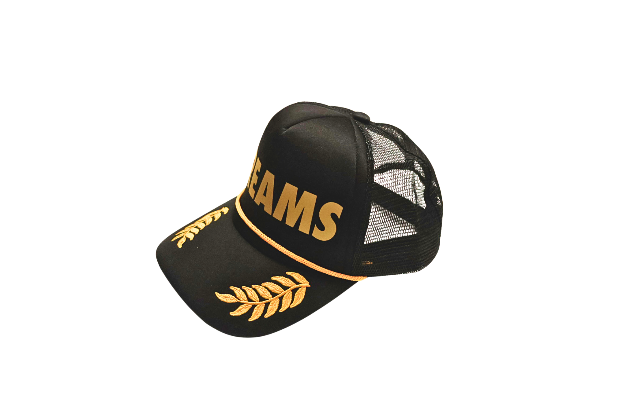 Dreams Trucker Snapback Hat